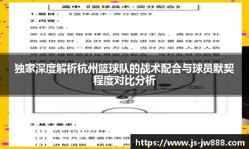 独家深度解析杭州篮球队的战术配合与球员默契程度对比分析